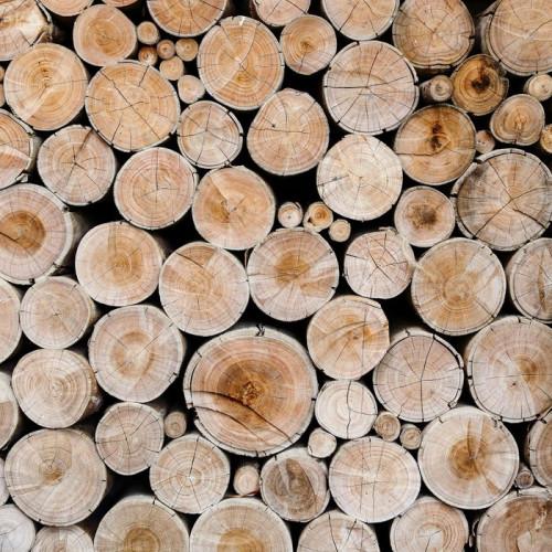 Fototapeta Kłody drewna dla przemysłu