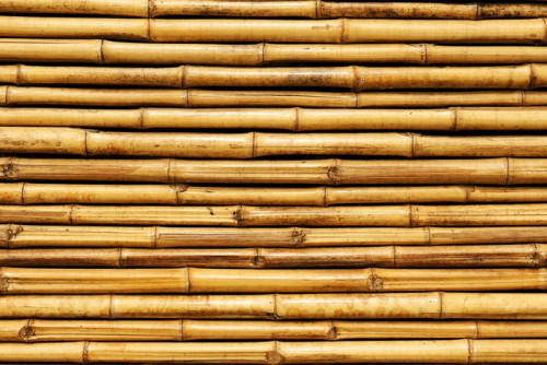 Fototapeta Bambus ogrodzenia