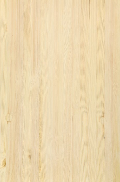 Fototapeta Struktura drewna sosnowego