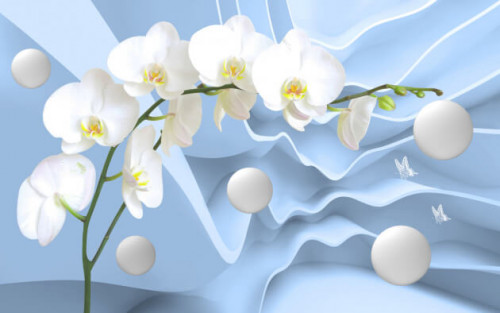 Fototapeta Orchidee i białe kręgi 