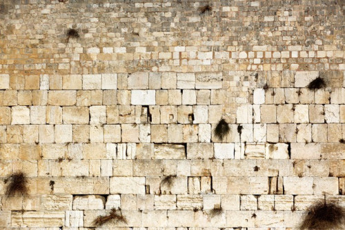 Fototapeta Waling Wall, Kotel, Ściana Płaczu, Jerozolima, Izrael