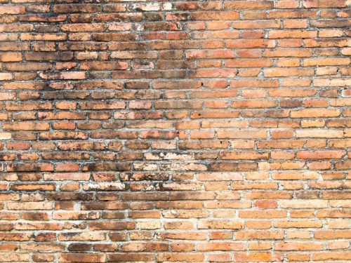 Fototapeta Stary czerwony mur z cegły grunge