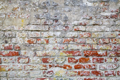 Fototapeta Old Red Brick Wall z betonie
