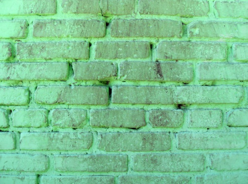 Fototapeta Fragment zielone ściany z cegły