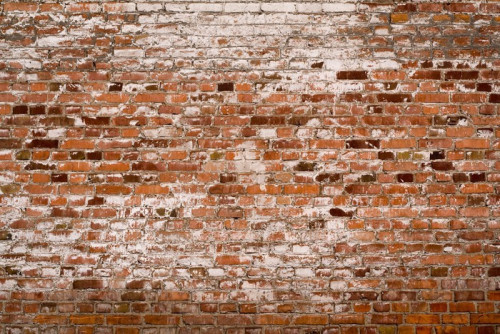 Fototapeta Odwieczne cegły ściany