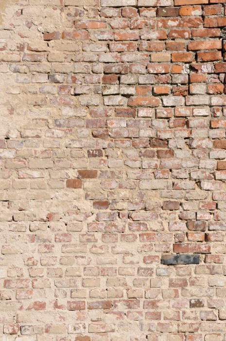 Fototapeta Stare zużyte mur ceglany z gipsu