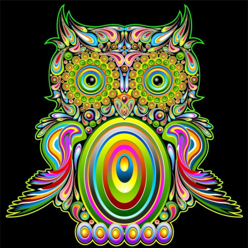 Fototapeta Popart psychedelic owl - sowa psychodeliczny dekoracyjne - wektor