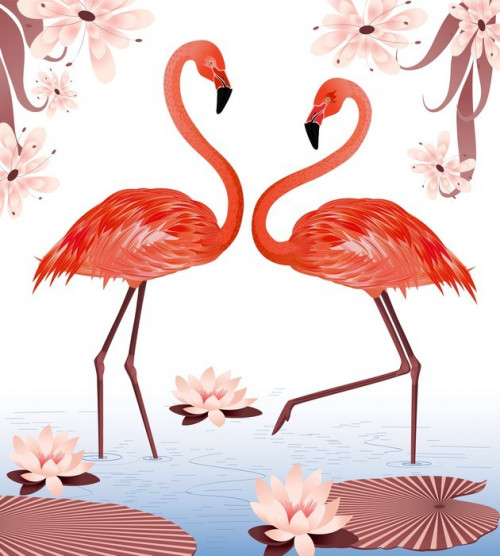 Fototapeta Flamingi