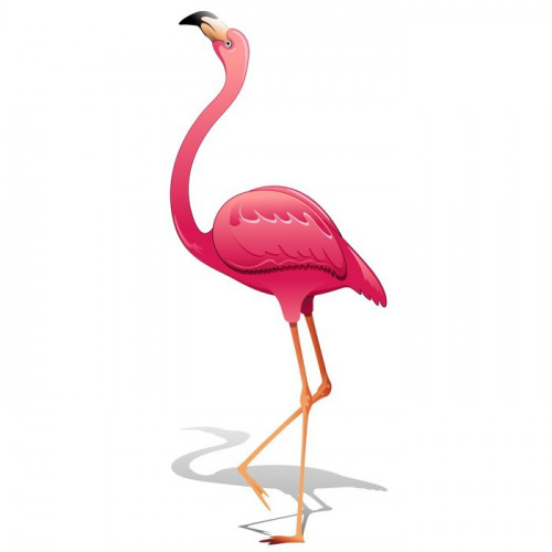 Fototapeta Pink Flamingo-Pink Flamingo-wektor