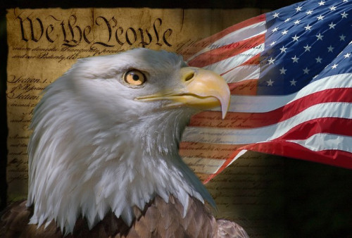 Fototapeta Bald Eagle and American flag