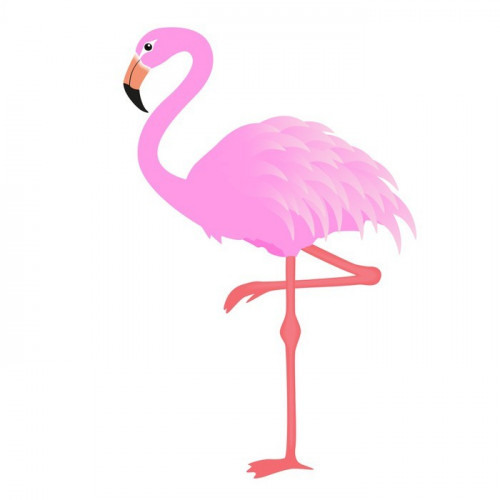 Fototapeta Flamingo wektor