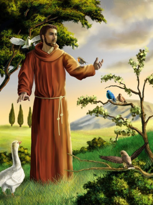 Fototapeta Saint Francis