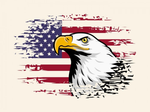 Fototapeta American Eagle przeciwko tle flagi USA