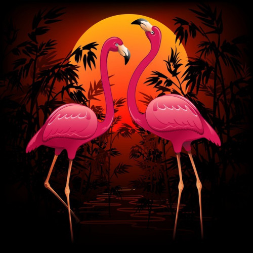 Fototapeta Różowe flamingi Różowe flamingi na Tropical Sunset Sunset