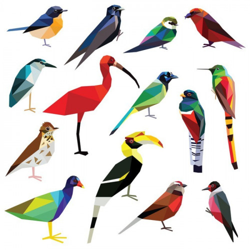 Fototapeta Ptaki ustawione kolorowe ptaki niska konstrukcja poli samodzielnie na białym tle background.Heron,Linet,Hornbill,Jay,Woodpecker,Flycatcher,Trogon,Gallinule,Martin,Crossbill,Comet,Ibis,Swallow,Thrush,Hummingbird.