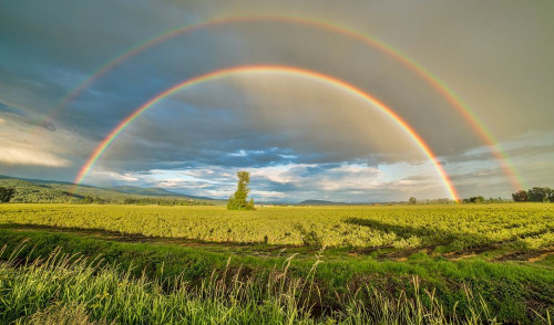 Fototapeta Tęcza, niebo i naturalny krajobraz