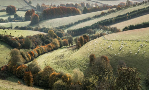 Fototapeta Naturalny krajobraz, wzgórze i obszar wiejski