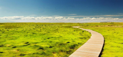 Fototapeta Naturalny krajobraz, łąka i Natura