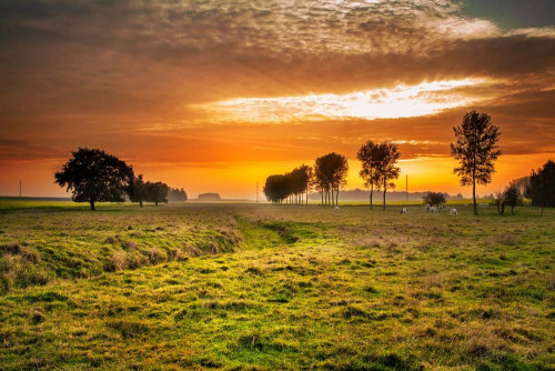 Fototapeta Niebo, Natura i naturalny krajobraz