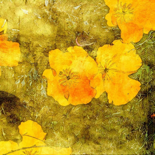 Fototapeta Żółte kwiaty vintage 