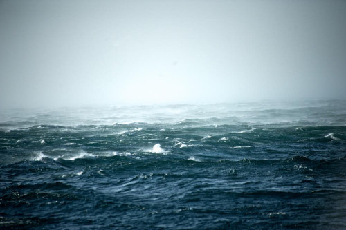 Fototapeta Deszcz na morzu 