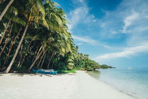 Fototapeta Natura, plaża i kraje tropikalne