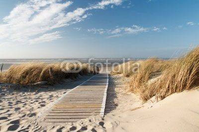 Fototapeta Brzeg Nordsee 