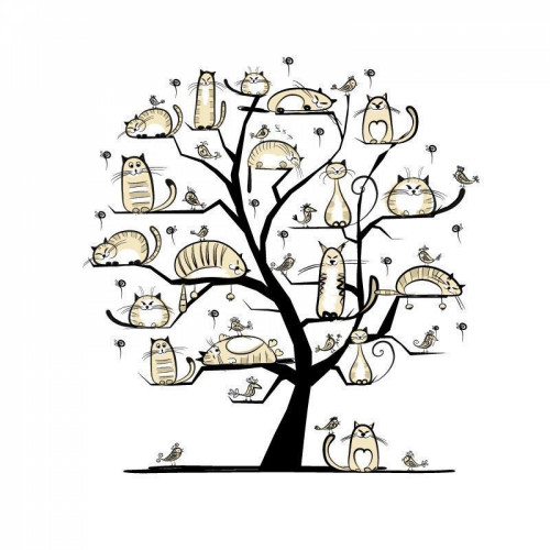 Fototapeta Koty na drzewie