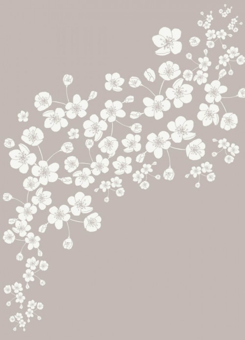 Fototapeta Lekkość białych kwiatów