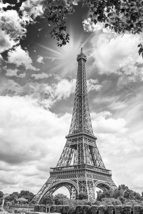 Fototapeta Letni Paryż