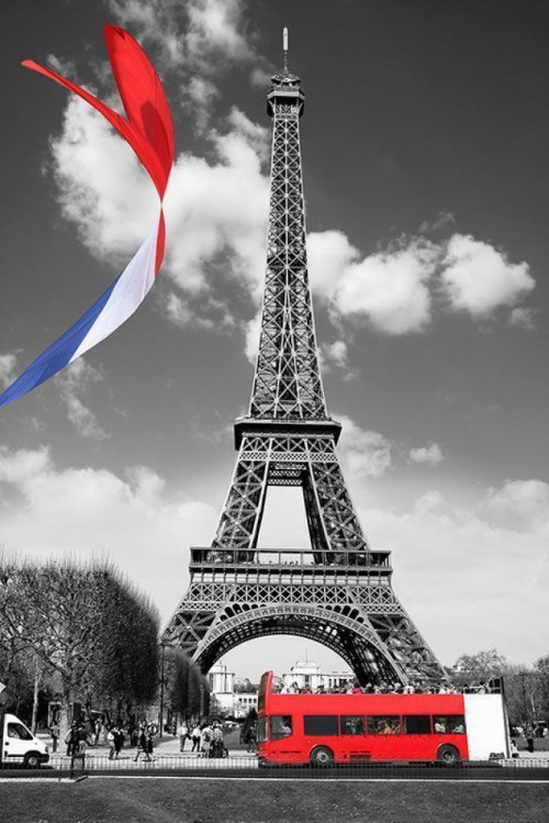 Fototapeta Francja