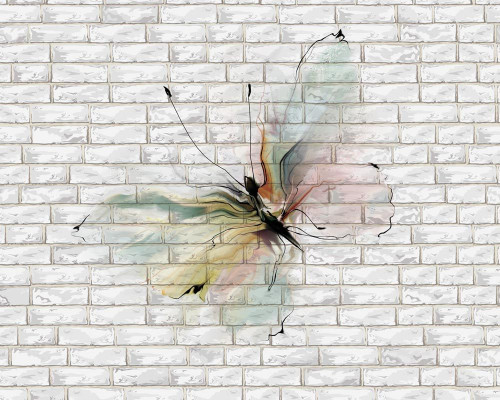 Fototapeta Motyl na ścianie