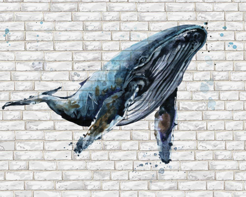 Fototapeta Niebieski wieloryb