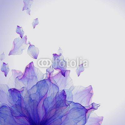 Fototapeta Purpurowy kwiat