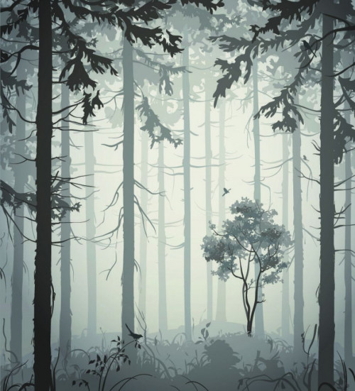 Fototapeta Mgła w lesie 