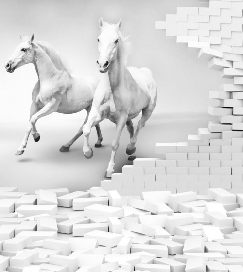 Fototapeta Białe konie i ściana 
