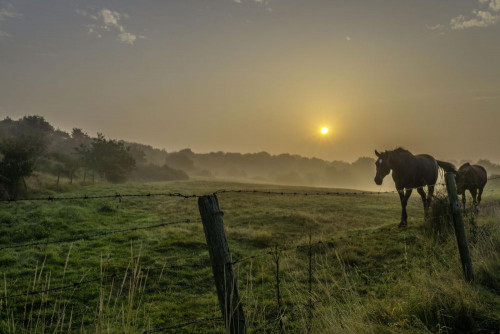 Fototapeta Pastwisko, naturalny krajobraz i niebo