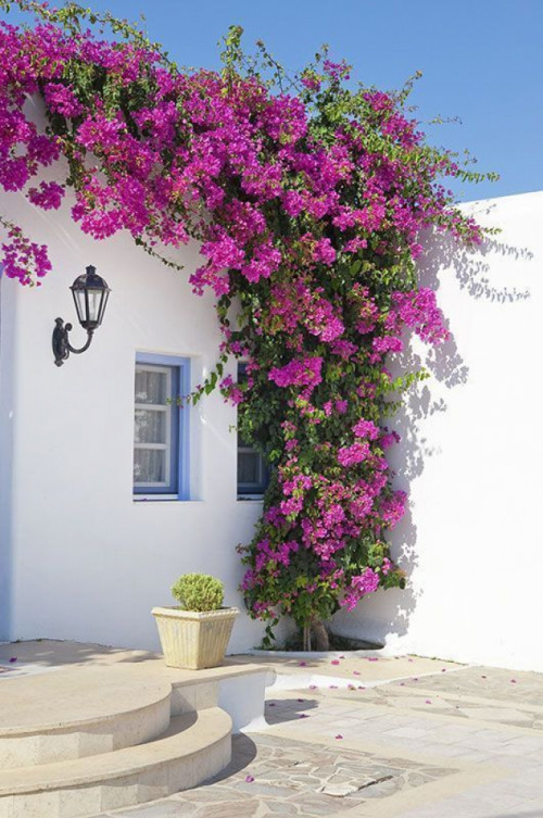Fototapeta Dom w Grecji