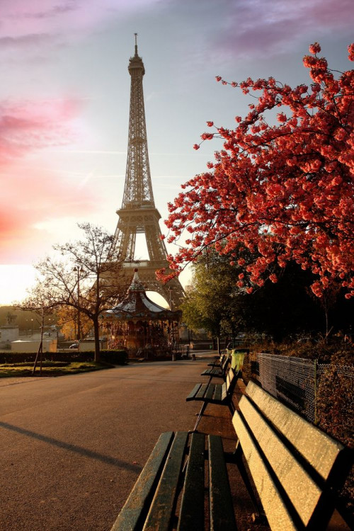 Fototapeta Park w Paryżu