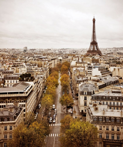 Fototapeta Paryż z lotu ptaka