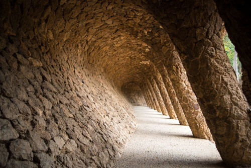 Fototapeta Drzewo, tunel i niebo