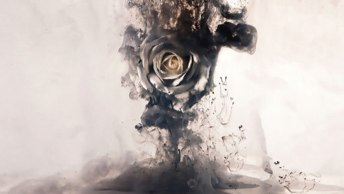 Fototapeta Róża z czarnego dymu 