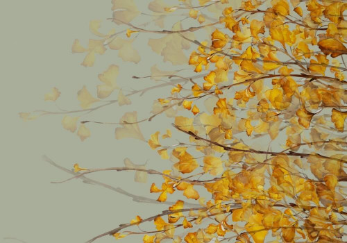 Fototapeta Drzewa jesienią 