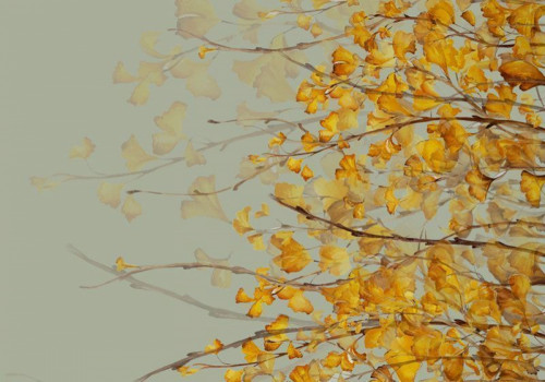 Fototapeta Drzewa na jesieni