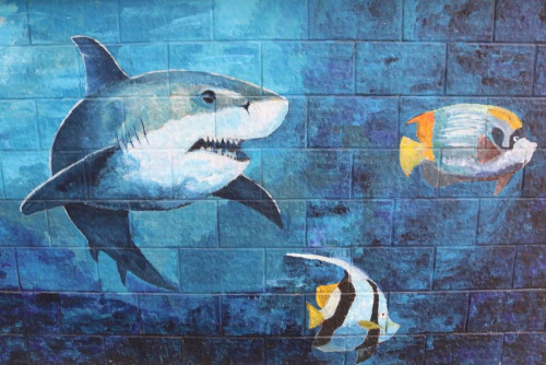 Fototapeta Ryba, Wielki biały rekin i sztuka