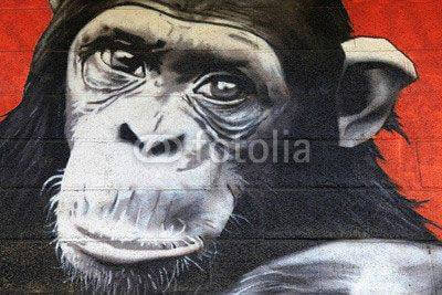 Fototapeta Graffiti z małpą