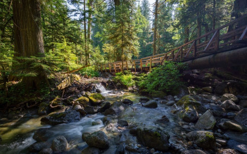 Fototapeta Zbiornik wodny, naturalny krajobraz i Natura