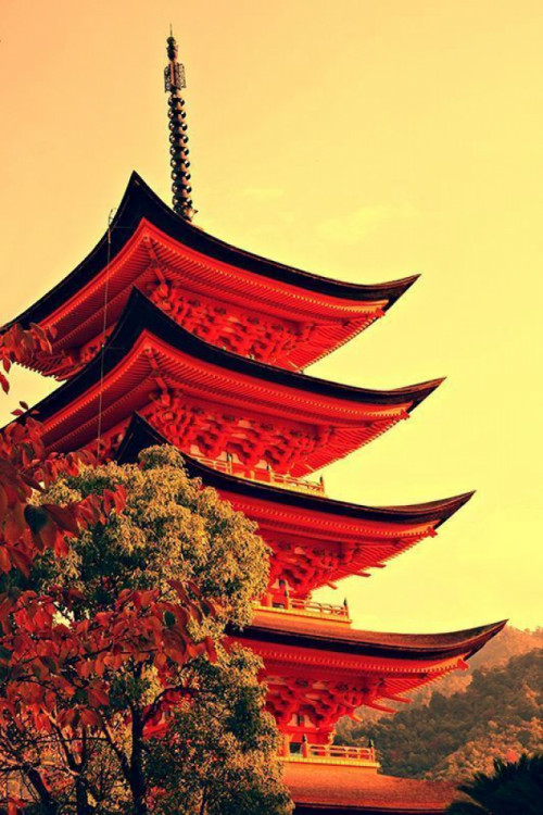 Fototapeta Pagoda