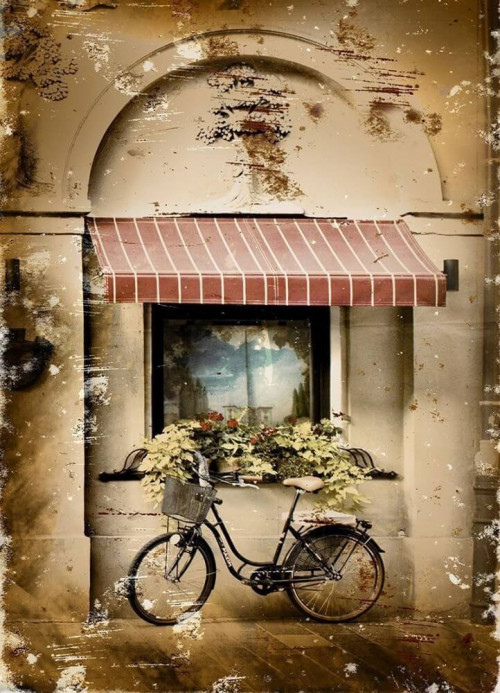 Fototapeta Retro rower z kwiatami