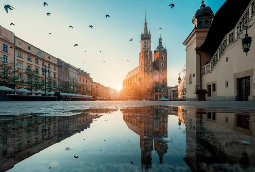 Fototapeta Gołębie nad placem